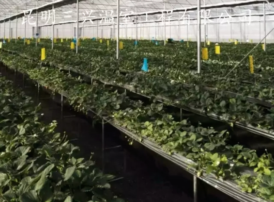 600x400