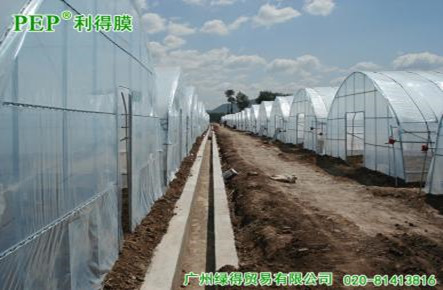 广州绿得贸易有限公司 照片