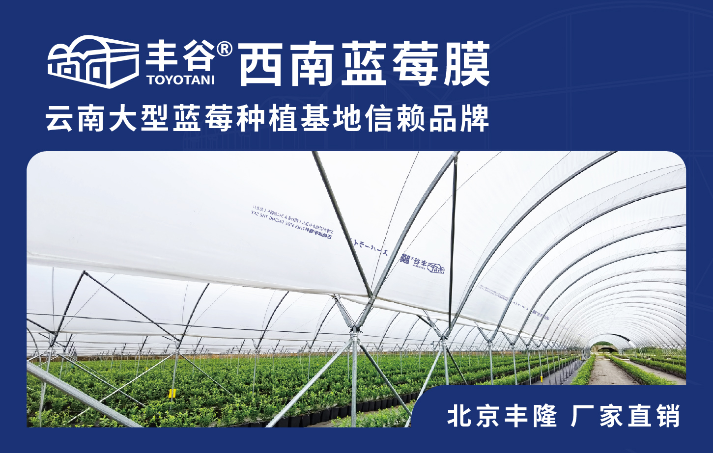丰谷膜 温室专用薄膜大棚膜 北京丰隆厂家直销 多规格 照片